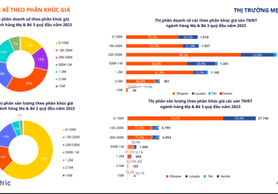 Nghiên cứu thị trường ngành Mẹ - Bé